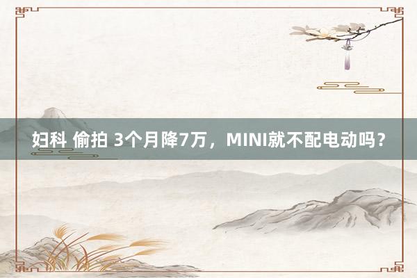 妇科 偷拍 3个月降7万，MINI就不配电动吗？