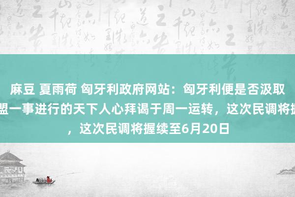 麻豆 夏雨荷 匈牙利政府网站：匈牙利便是否汲取乌克兰加入欧盟